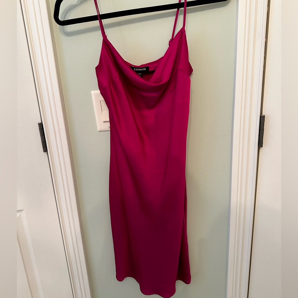 Express Silk Dress